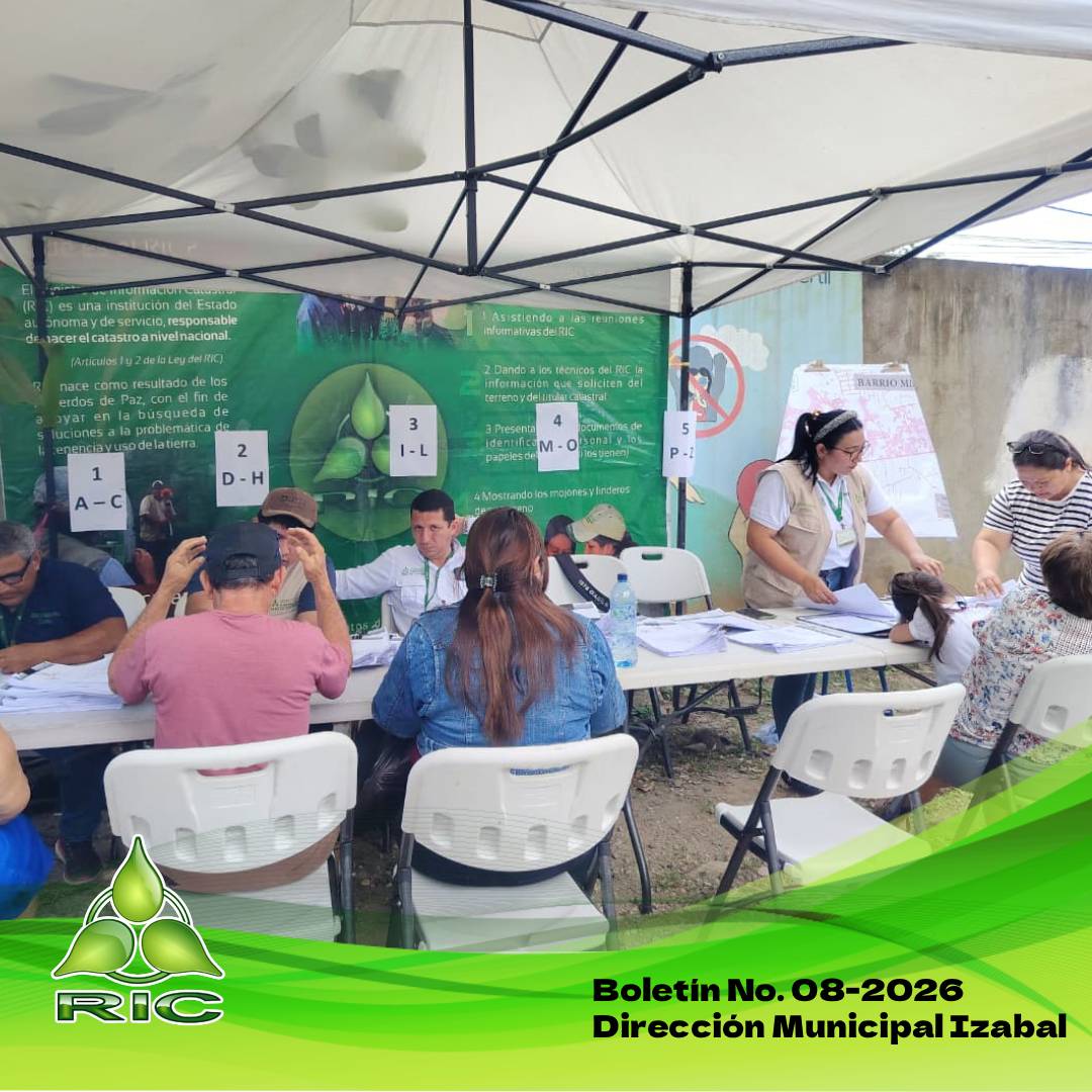 Boletín No. 08-2026 