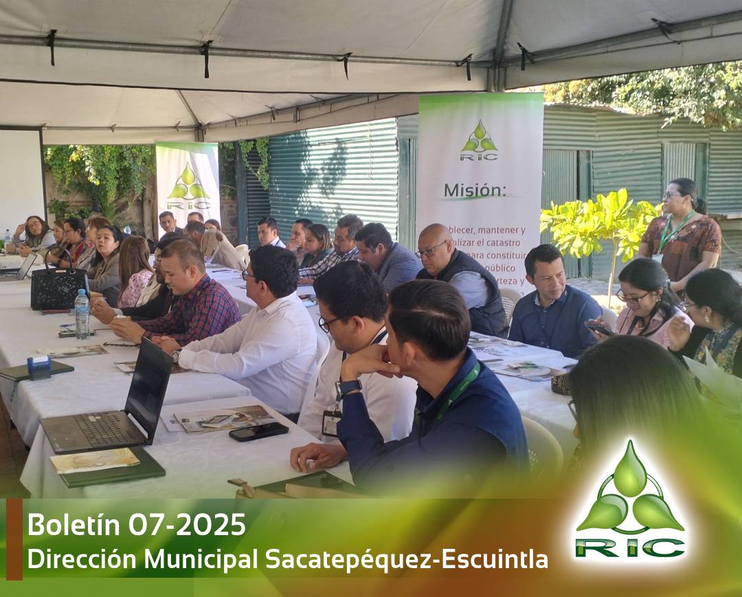 Boletín 3