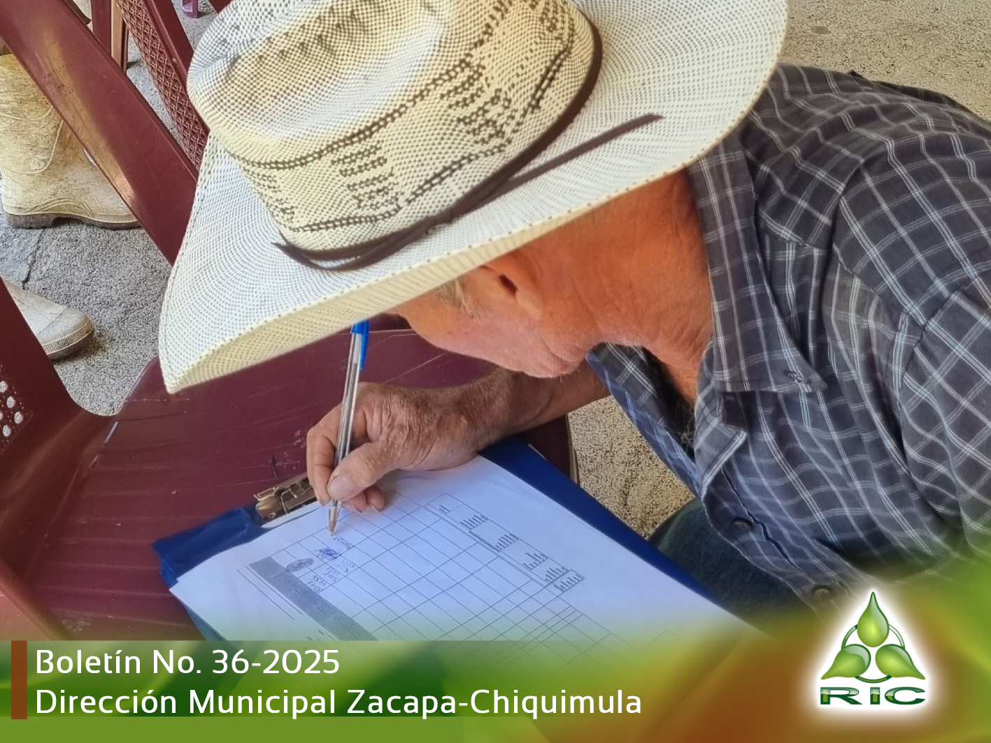Boletin 2