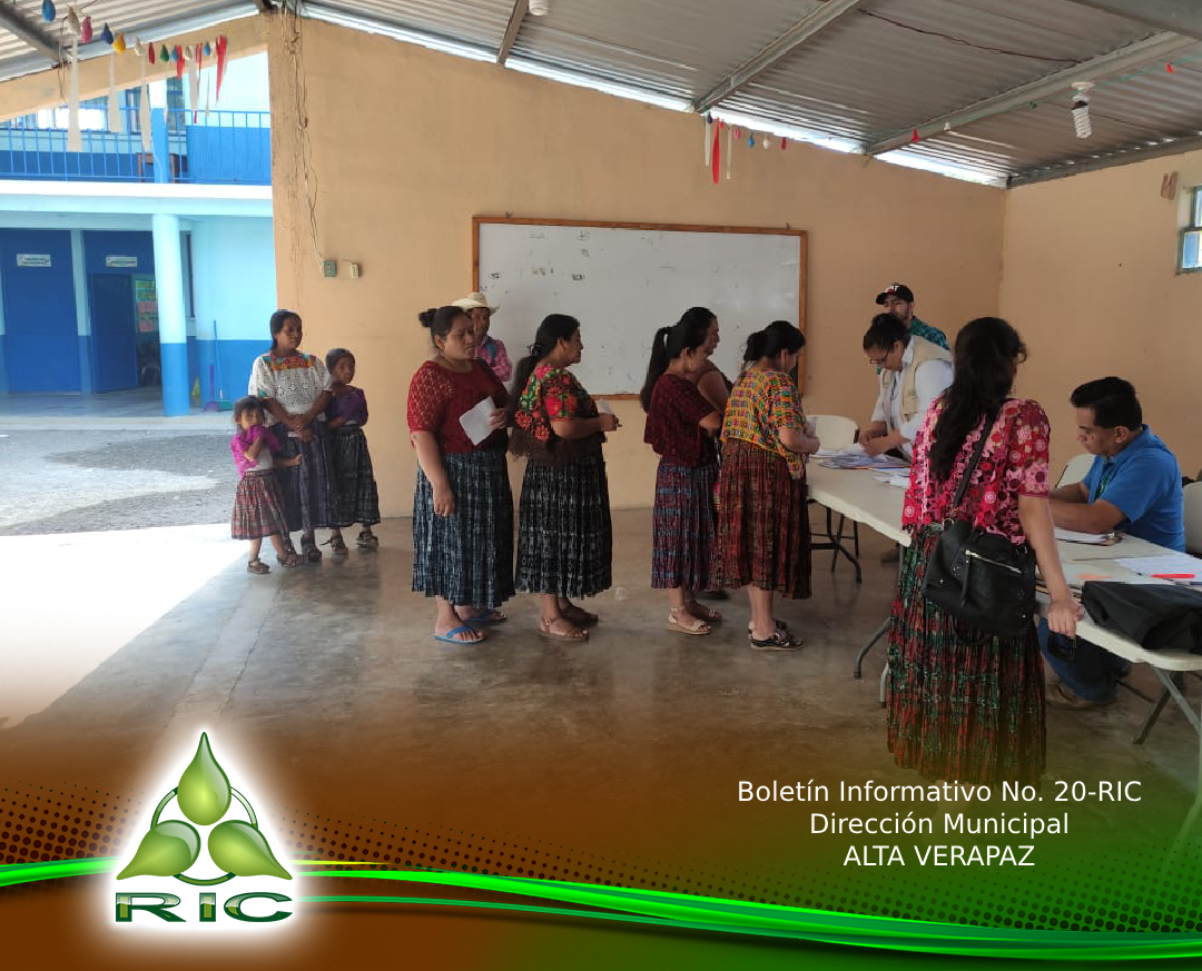 Boletín 2