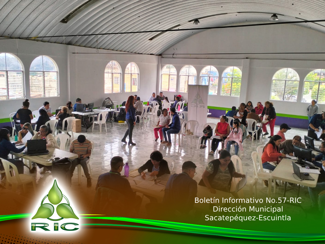 Boletín 3