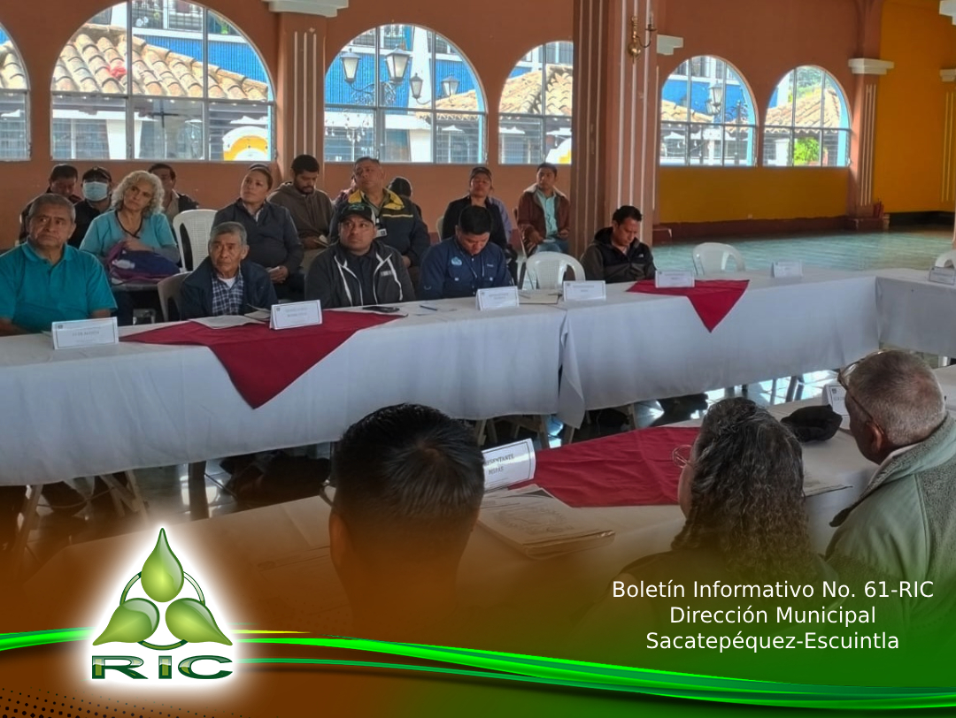 Boletín 2