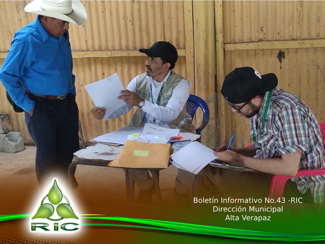 Boletín 3
